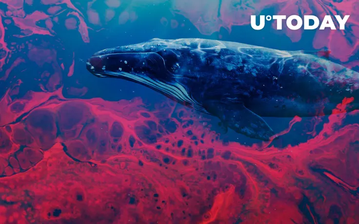 Institutional Whales Are Waiting to "Buy the Blood," Messari Report