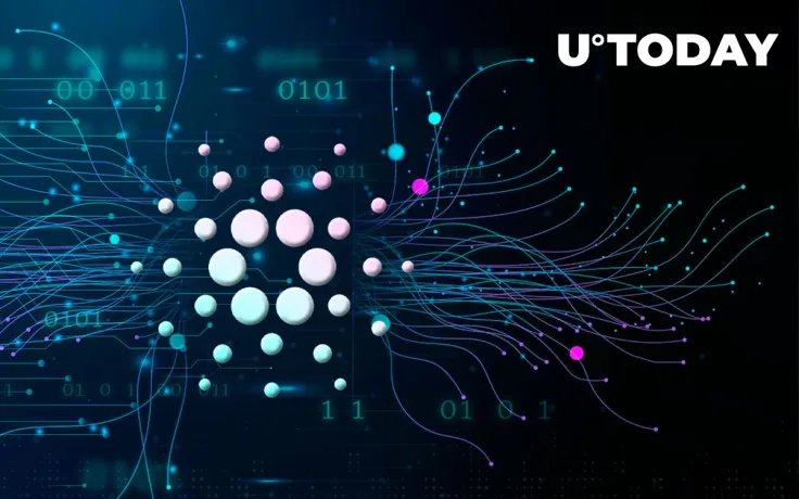 Cardano Network Stands Near 60% Under Utilization, Data Finds