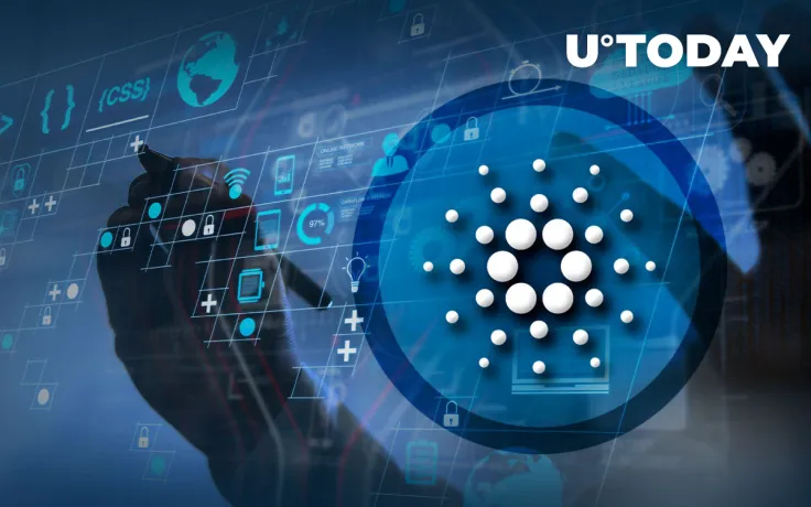 Cardano Leads in Daily Development Activity, Data Reveals