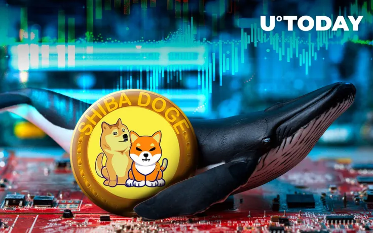 Not DOGE or SHIB, But ShibDoge Is Most Held Coin Among ETH Whales