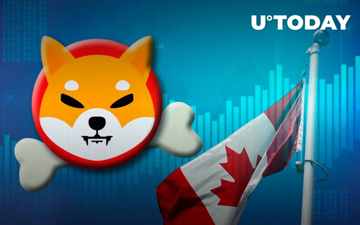 Shiba Inu's BONE Trading Volume Hit 83% Within 24 Hours of Listing on Canadian Exchange
