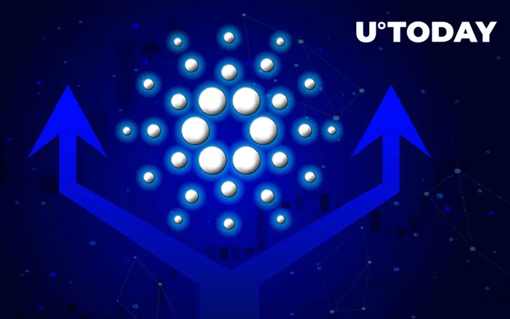 Cardano Vasil: Developer Debunks Possibility of Likely Delay