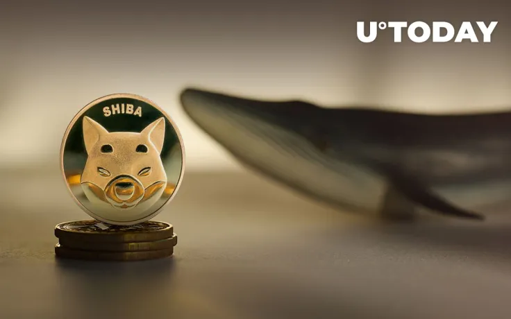 Shiba Inu Large Transactions Rise as Whales' Balances Grow 20%