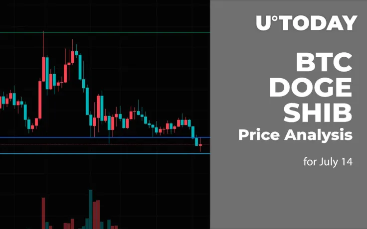 BTC, DOGE and SHIB Price Analysis for July 14