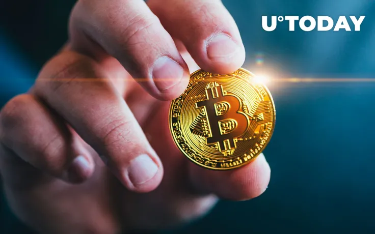 Here's Who Controls Most of Bitcoin's Circulating Supply: Details