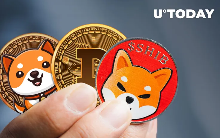 SHIB, DOGE and BabyDoge: How Do Community Favorites Perform?