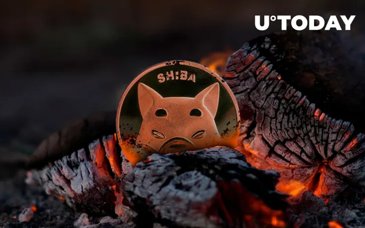 140 Million Shiba Inu Burned as Burn Rate Spikes 137%: Report