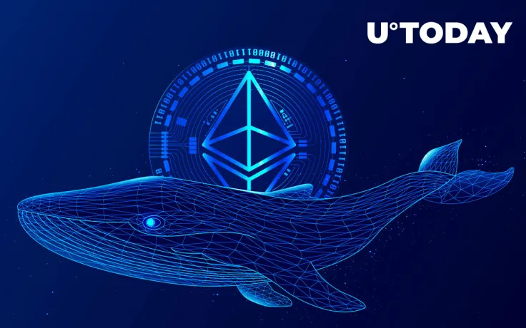 Massive Amount of Ethereum Whales Returned to Market After 15% Price Spike