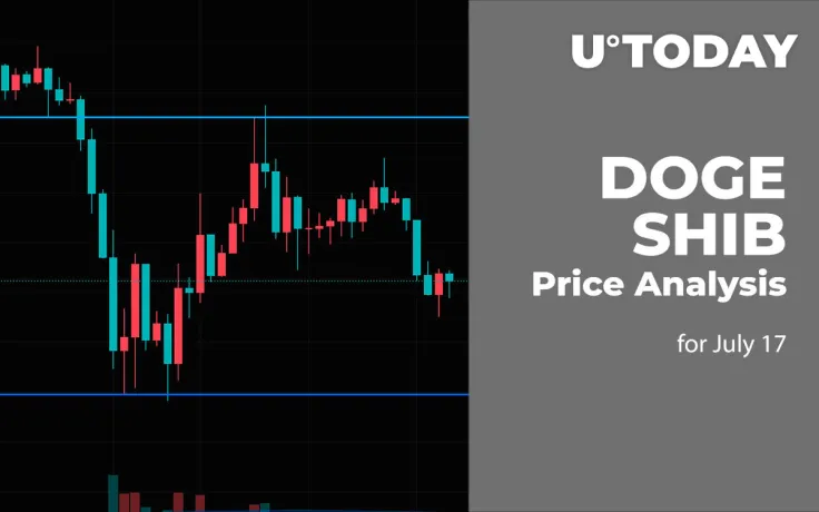 DOGE and SHIB Price Analysis for July 17