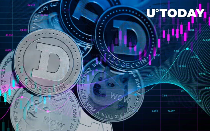 Dogecoin Transactions Are Spiking as Crypto Market Recovers