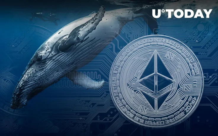 Ethereum Network Saw Influx of 131 Whales as Price Recovers