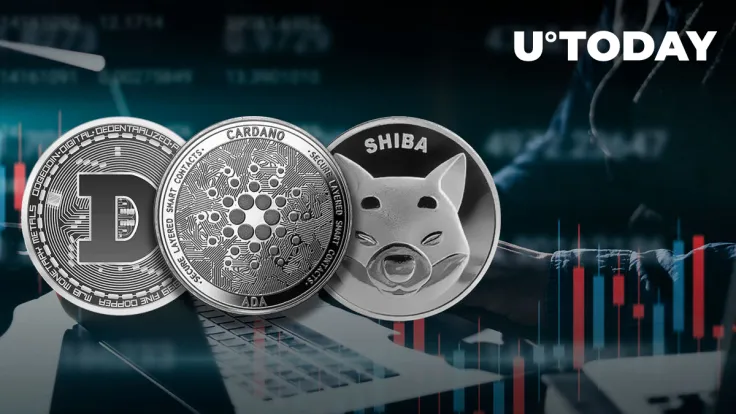 Cardano, Dogecoin, Shiba Inu Post Significant Gains as Traders Envisage 'Long-Term Breakout'