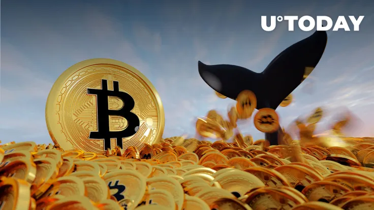 Anonymous BTC Whale Transfers 46,000 BTC, But No One Knows Why