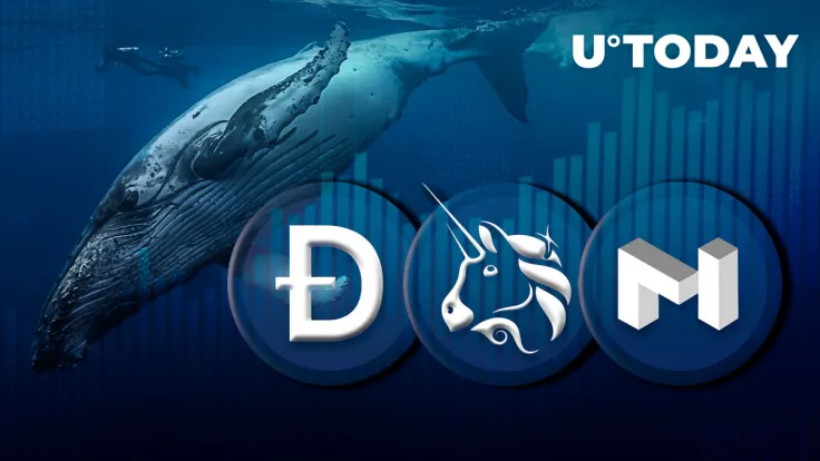 DOGE, MATIC and UNI on Solid Rise Fueled by Large Whale Transactions