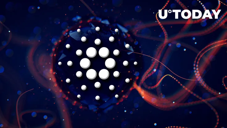 This Cardano "Secret Sauce" Brings It into View of Global Financial Infrastructure: Community