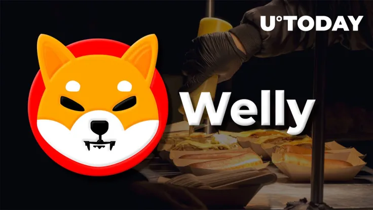 Shiba Inu's Welly Transfers First Set of Community Rewards in ETH to Wallet
