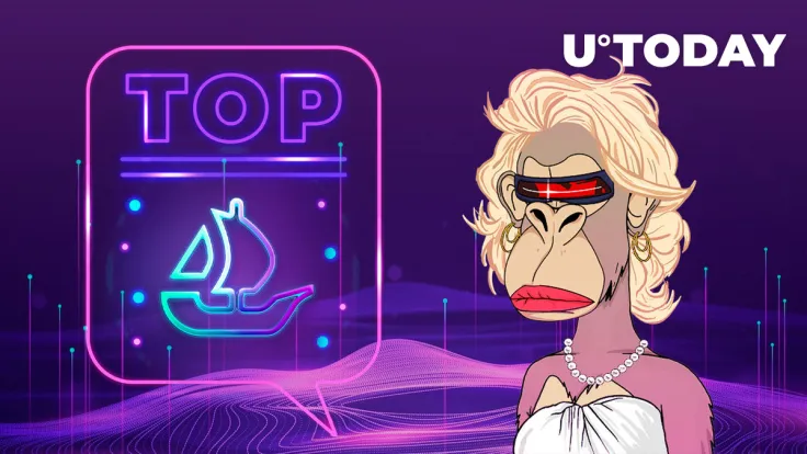 Lady Apes NFT Ecosystem Spikes to OpenSea Top 10