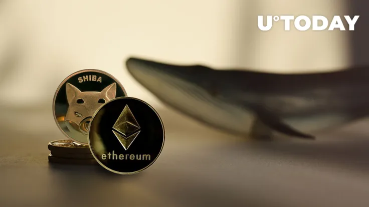 SHIB Posts Modest Price Gains as Ethereum Whales Load up on 534 Billion SHIB