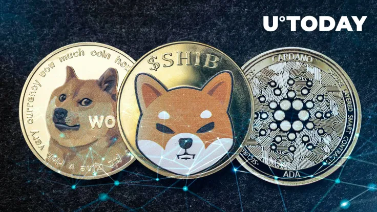 Cardano, Dogecoin, Shiba Inu Post Gains Amid Inflows into Crypto Market