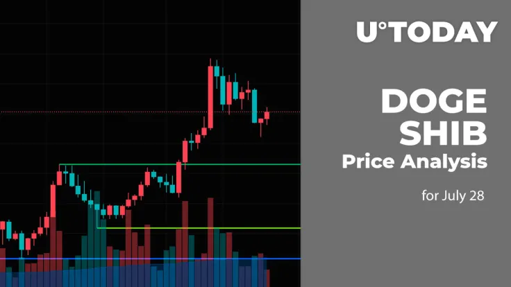DOGE and SHIB Price Analysis for July 28
