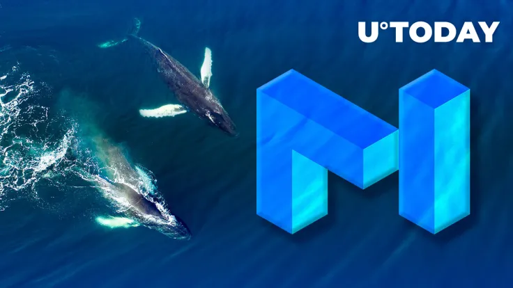 $2.5 Million in Top-Traded MATIC Token Acquired by These Two Whales