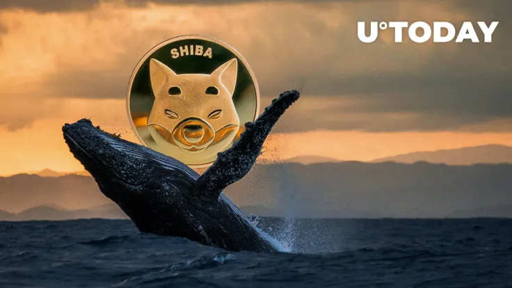 SHIB Beats MATIC, LINK, MANA as Number 1 Asset for Whales: Report