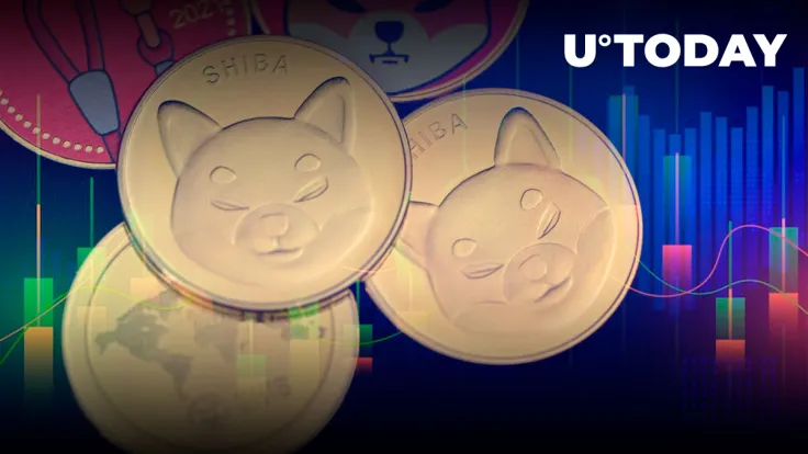 Shiba Inu: Long-Term Holders Are Increasing as Investors Shift Focus