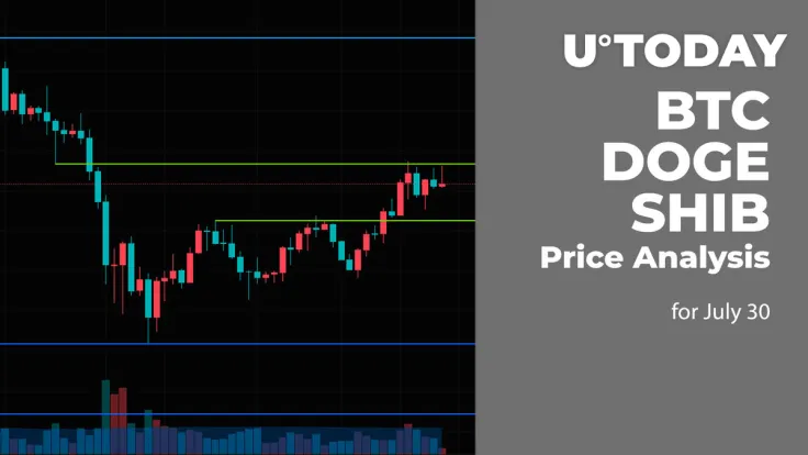 BTC, DOGE and SHIB Price Analysis for July 30