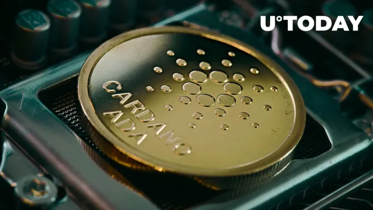 Cardano Community Gives One Reason for Its "Standalone" in Larger Crypto Space