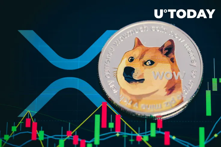 Dogecoin and XRP Now Supported by This Global Payment Network