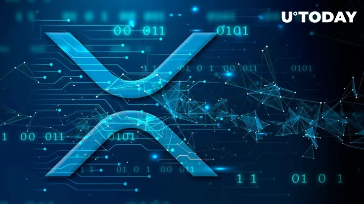XRP Network Just Had Largest Amount of Unique Addresses Interacting on It in 2.5 Years