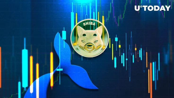 Shiba Inu (SHIB) Worth $3 Million Bought by This ETH Whale in 2 Days