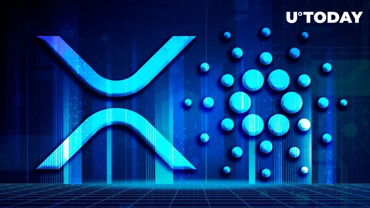 XRP & Cardano (ADA) Need This To Hold On to Conquered Places in Market Cap Top