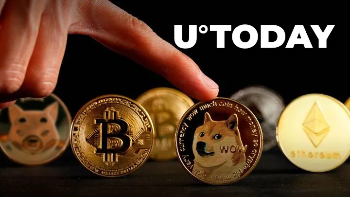 SHIB, DOGE, BTC and ETH Now Accepted by One of Oldest Swiss Business Travel Companies