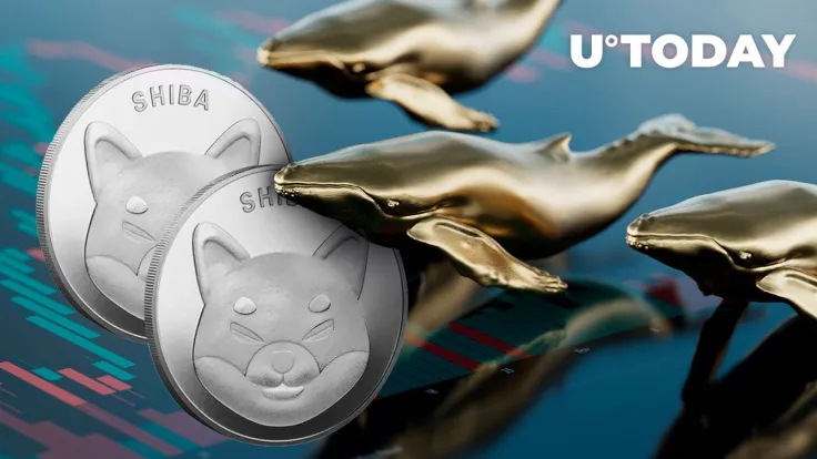 Here's What's Driving Whales to Buy More SHIB
