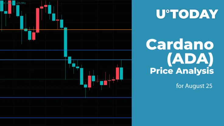 Cardano (ADA) Price Analysis for August 25