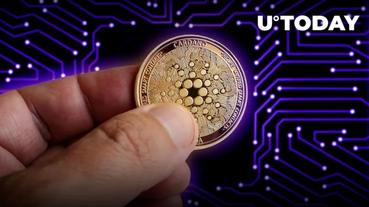 Here's Why Cardano's Decentralization Networking Update Is Most Important Part of Vasil