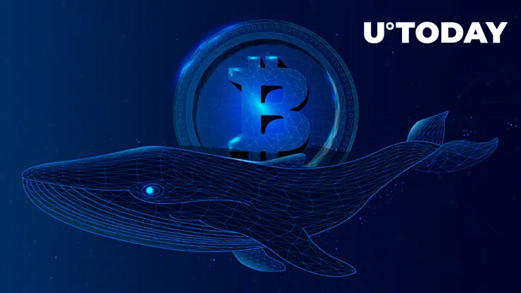 Ancient Bitcoin Whales Are Awakening, What's Happening?