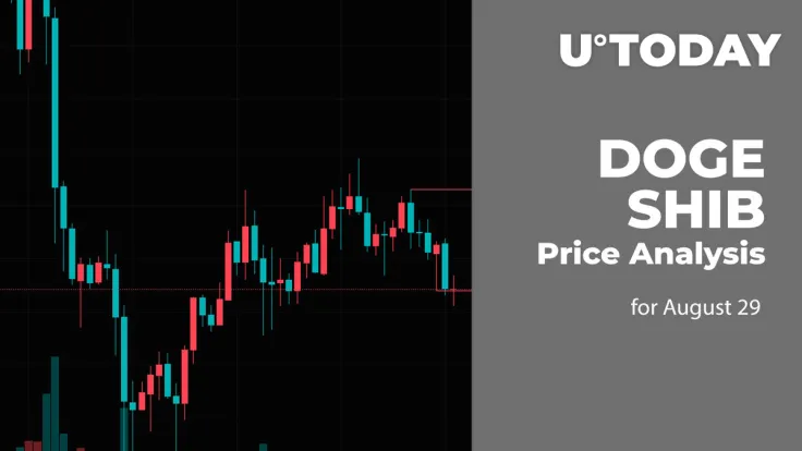 DOGE and SHIB Price Analysis for August 28