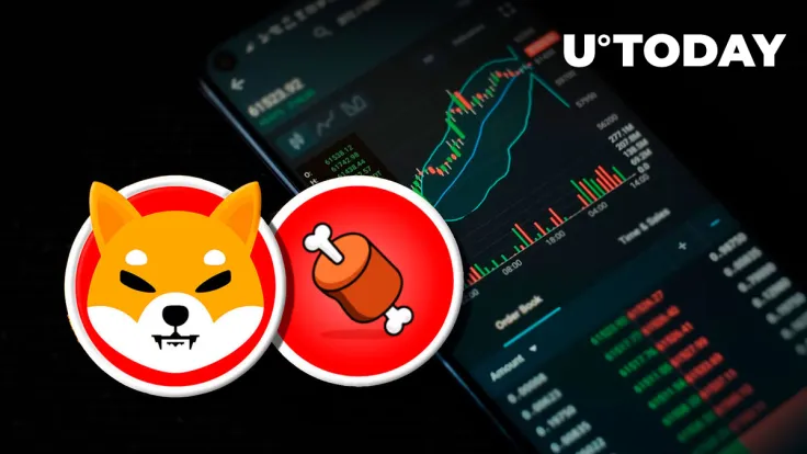Shiba Inu's BONE Surges 130% in 2 Days with These Events
