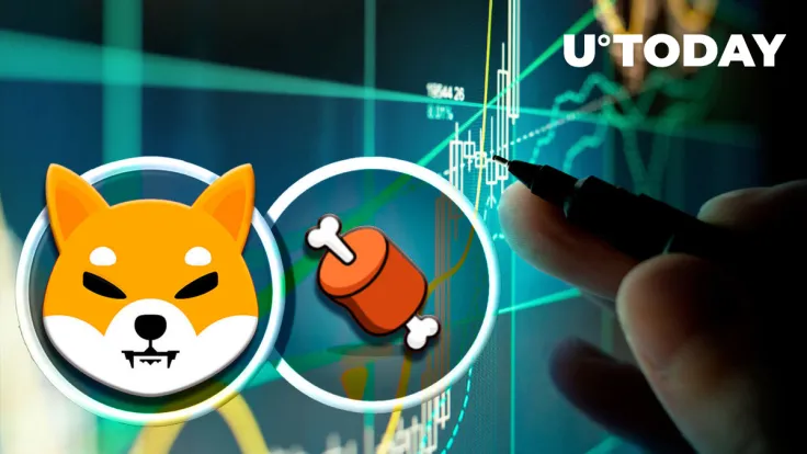 Shiba Inu's BONE Trading Volumes Surge 447%: Details