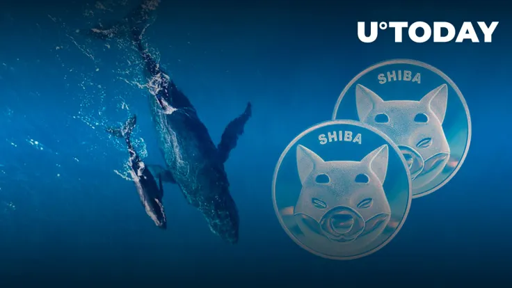 Shiba Inu Whales Timing SHIB Price "Moment" as Transactions Jump 275%