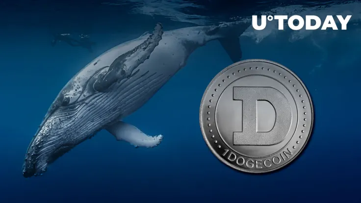 Dogecoin Team Clears up Rumor About Whale Who Holds Almost 30% of All DOGE Supply