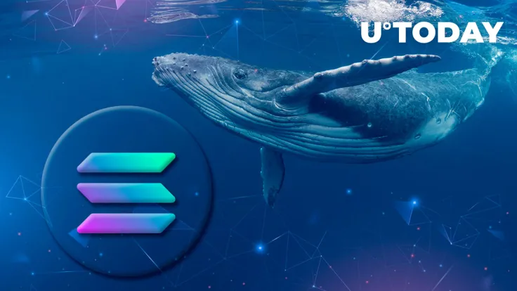 Solana Sees Enormous Whale Trading Volumes in Last 24 Hours