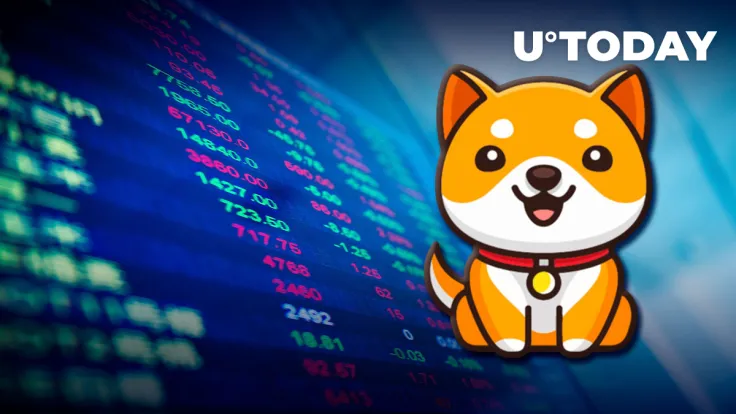 BabyDoge Coin Listed on This Major Exchange: Details
