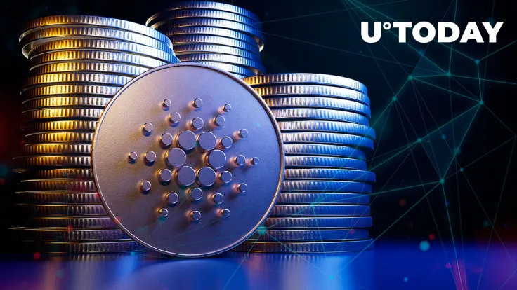 Cardano-Cosmos Ecosystem Bridge Launches, Network Statistics Spike