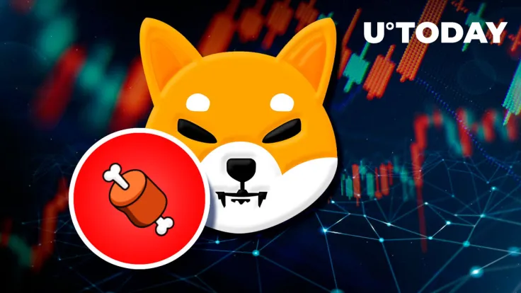 Shiba Inu Lead Developer Says BONE Has "Woken Up" as Price Jumps 25%