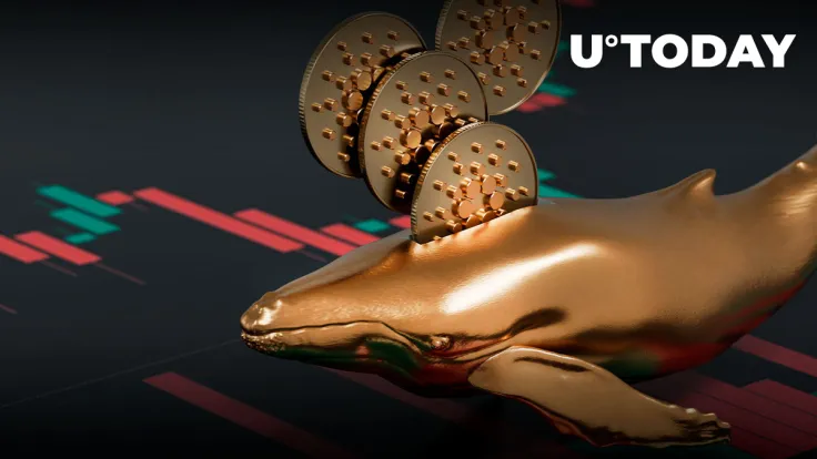Cardano Whales Grab $138 Million in ADA, Here’s Why It Could Be Interesting: Santiment