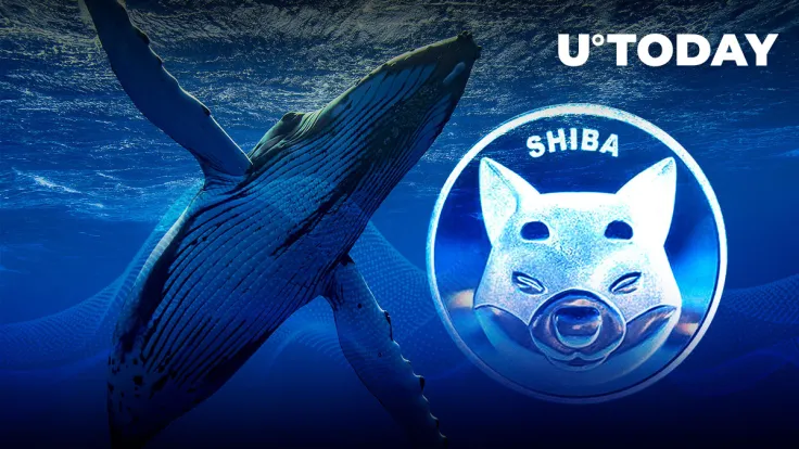 SHIB Remains Largest Asset in USD for Whales But Here’s Where ALCX Surpasses It