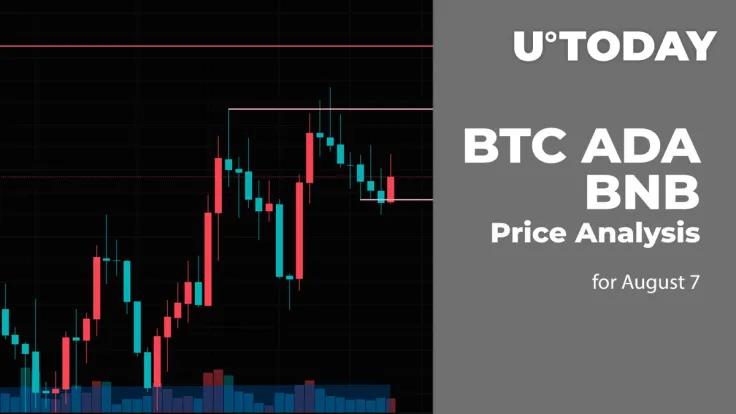 BTC, ADA and BNB Price Analysis for August 7